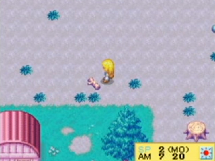 harvest moon ds glitches