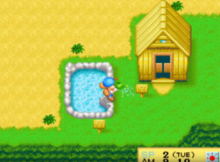 Harvest Moon DS screenshot