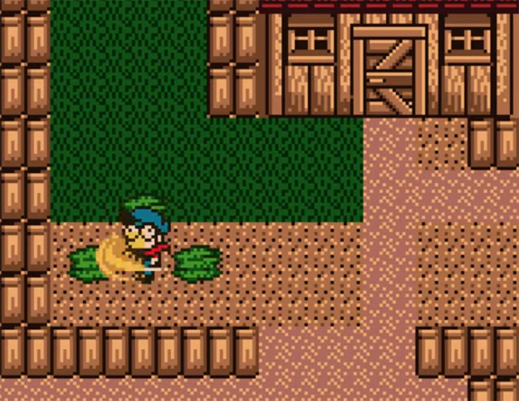 Harvest Moon GB 1998 screenshot