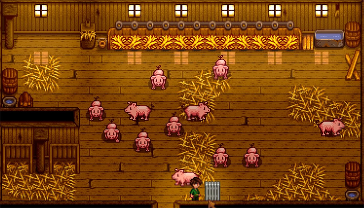 Pigs Stardew Valley screenshot