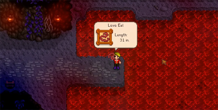 The Most Expensive Fish In Stardew Valley