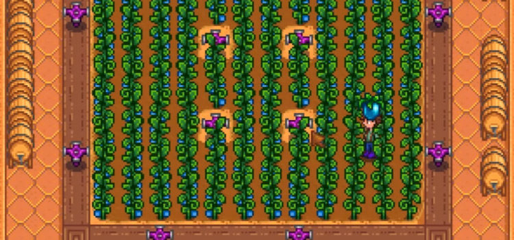 Top 5 Most Profitable Crops for the Greenhouse (Stardew Valley)