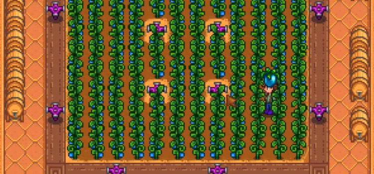 Growing Ancient Fruit in Stardew