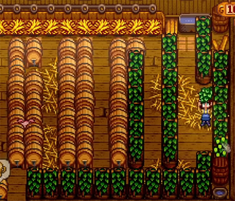 Hops Stardew Valley screenshot