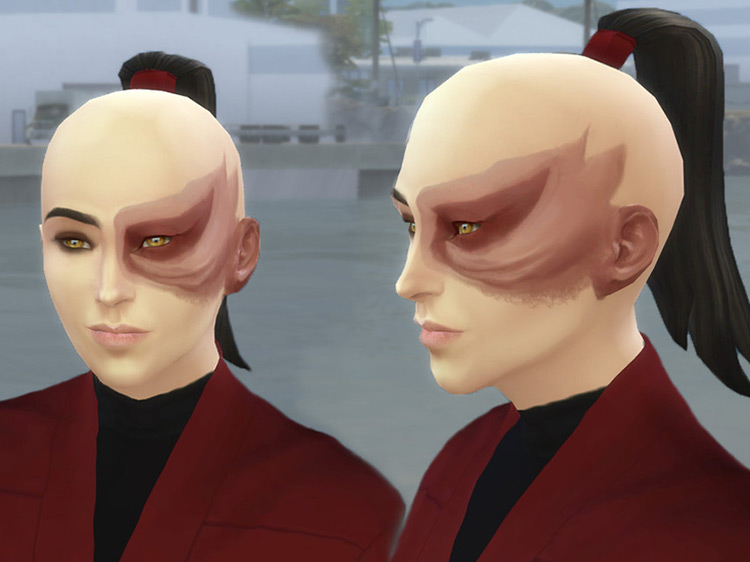 Prince Zuko’s Scars from Avatar the Last Airbender by Velouriah / TS4 CC