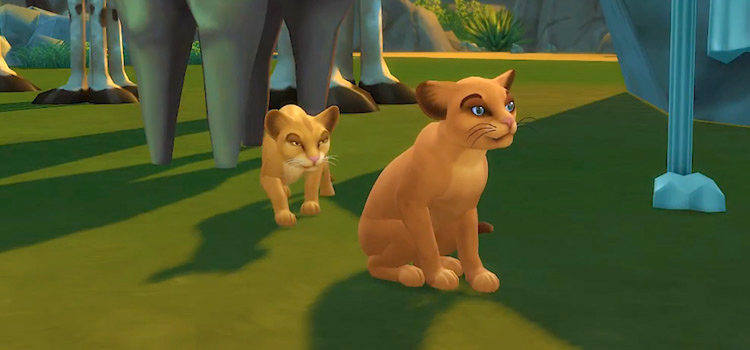 Sims 4 Lion King CC Collection (All Free)