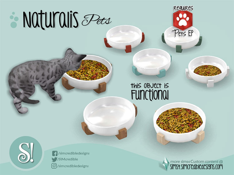 Naturalis Pets Bowl by SIMcredible! / TS4 CC