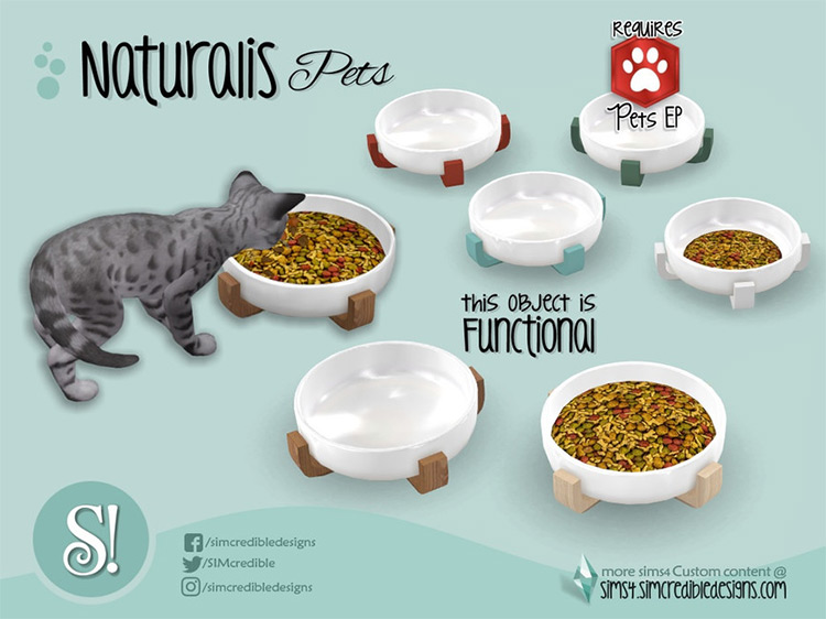 Sims 4 Pet Food   Pet Bowl CC  All Free    - 18