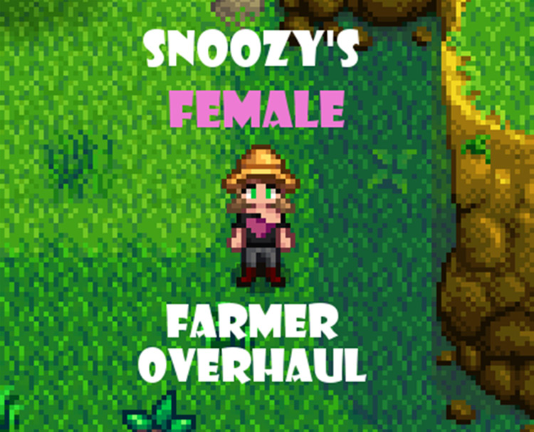 15 Best Clothing Mods For Stardew Valley   FandomSpot - 71