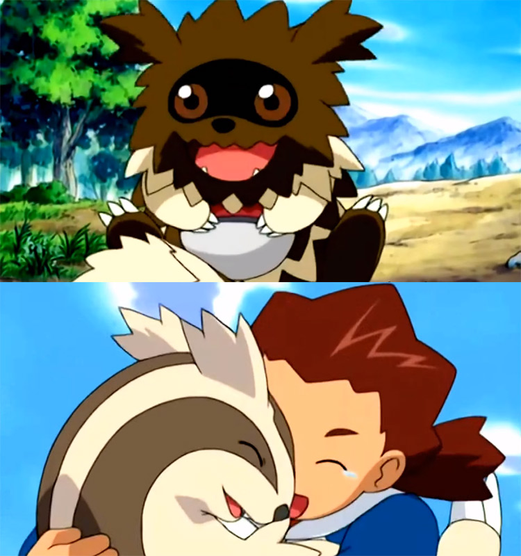 Zigzagoon and Linoone - Pokémon anime screenshot