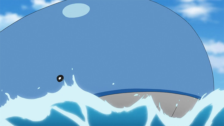 Wailord Hoenn Pokemon anime screenshot