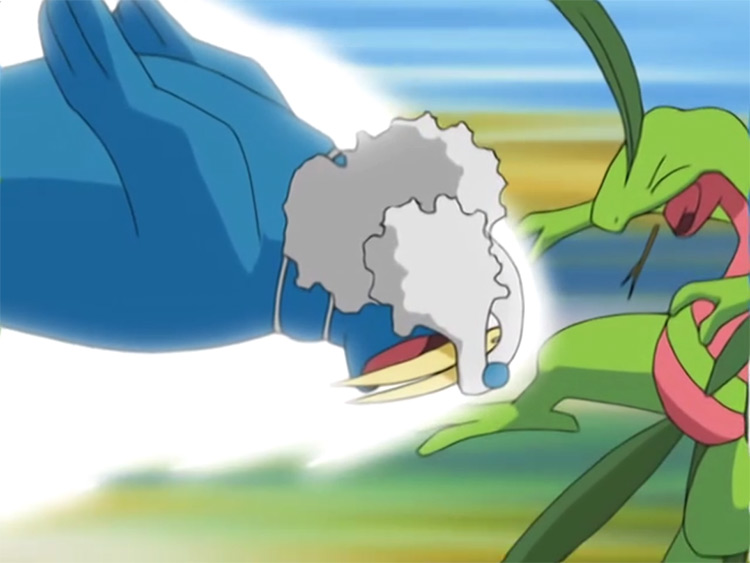 Walrein Pokemon in the anime