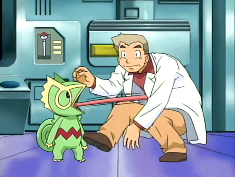 Kecleon Pokemon in the anime