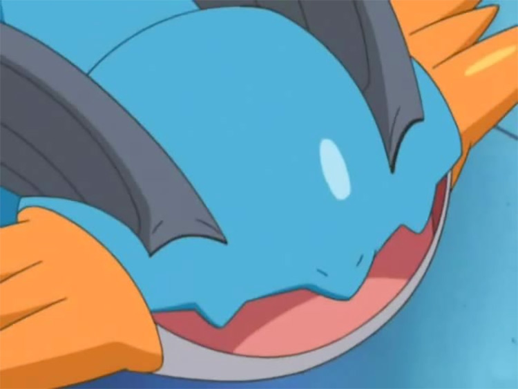 Swampert Hoenn Pokemon anime screenshot