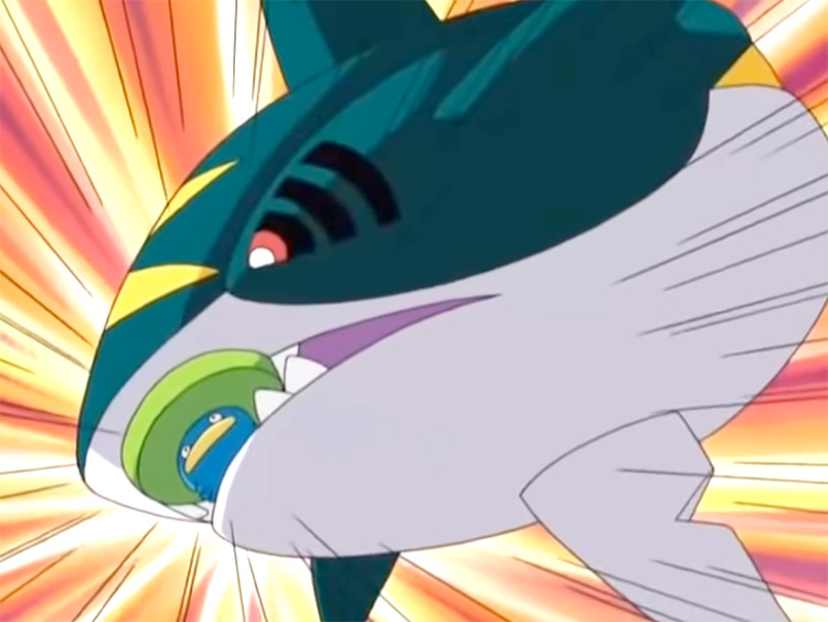 Sharpedo from Pokemon anime