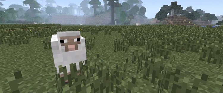 10 best Minecraft mods for optimization