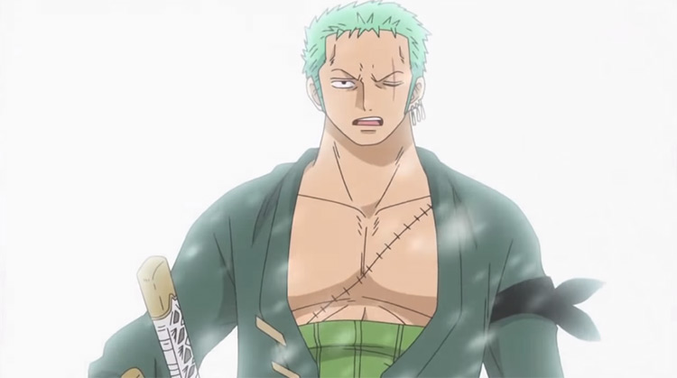 One Piece Zoro Scar