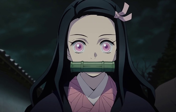 Nezuko Kamado from Demon Slayer anime