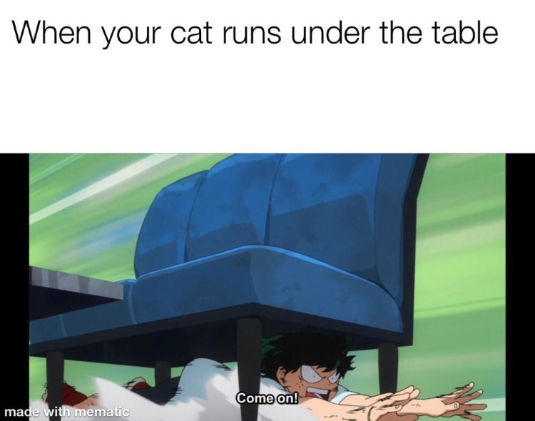 When your cat runs under the table meme