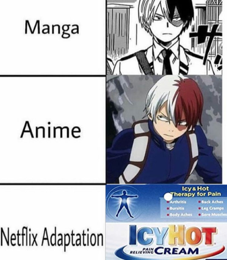 Manga, Anime, Netflix adaptation - Shoto Todoroki meme