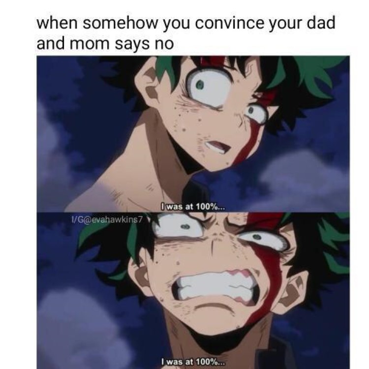 When you convince dad and mom says no, green haired anime character BNHA meme