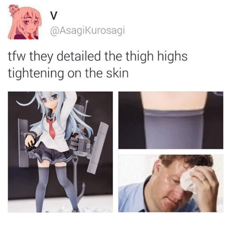 They detailed the thigh high socks - anime figure meme