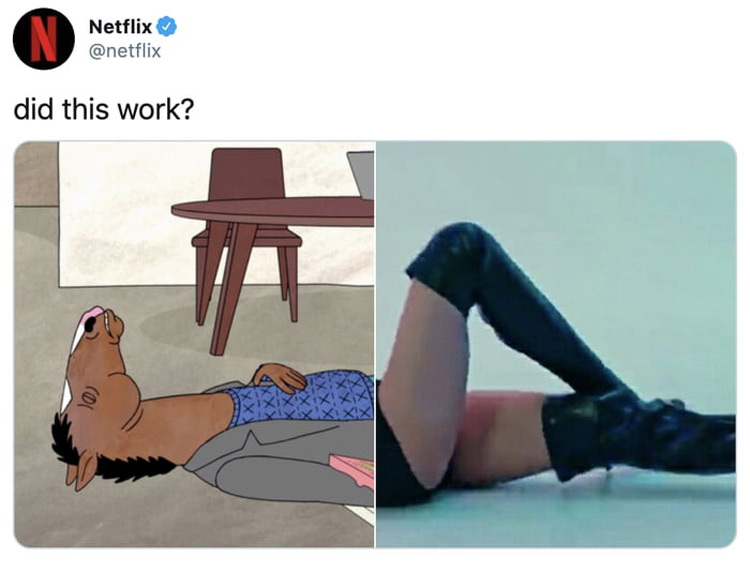 Bojack Netflix crossover meme