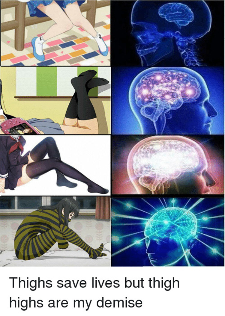 Thigh highs are my demise meme