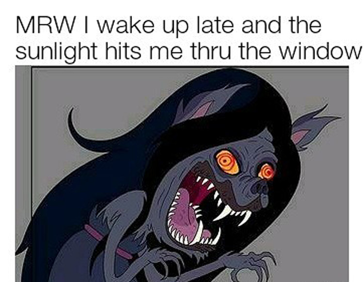 Waking up sunlight meme