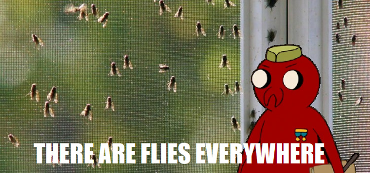 There are flies everywhere meme