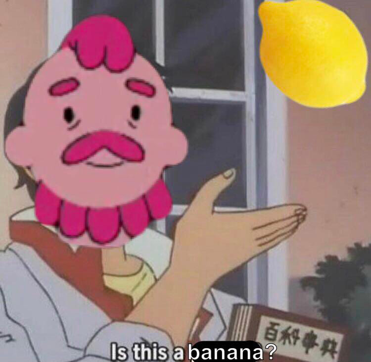 Is this a banana? meme