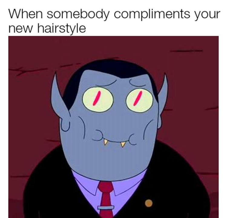 Somebody compliments new hairstyle meme
