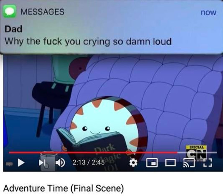 Dad text - why you crying so damn loud? Adventure Time final scene meme
