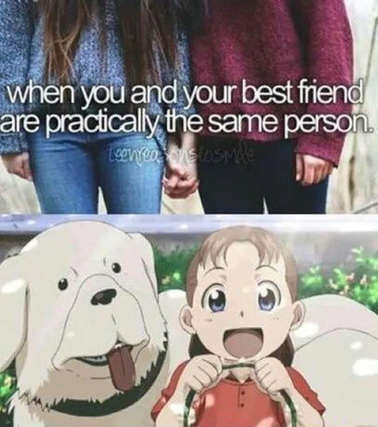 When you and your best friend are the same person - FMA meme.