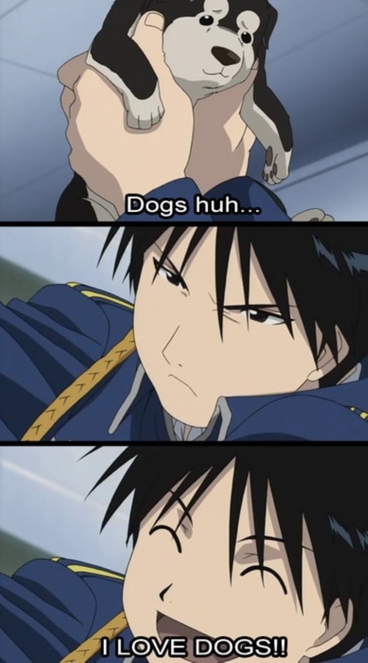 Dogs huh... I love dogs! - Roy Mustang meme