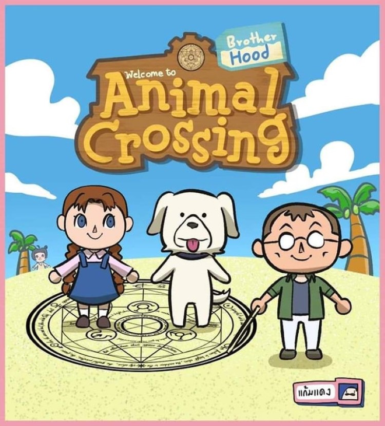 Animal Crossing Brotherhood box art joke meme game