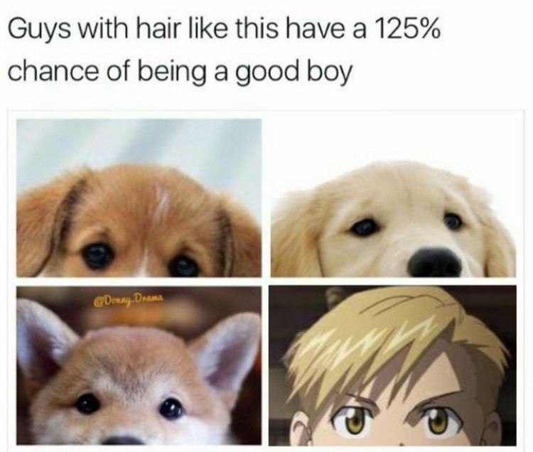 Guys with hair like this have a 125% chance of being a good boy meme