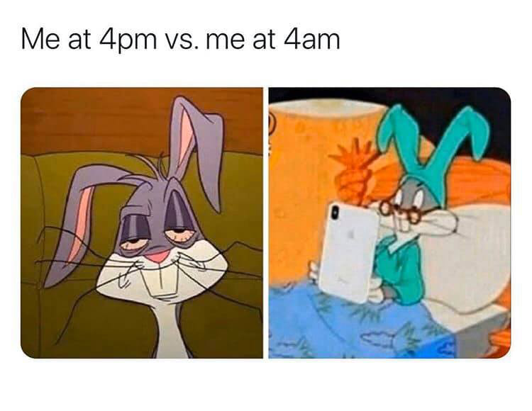 50 Funniest Bugs Bunny Memes To Keep You Asking “What's Up, Doc ...