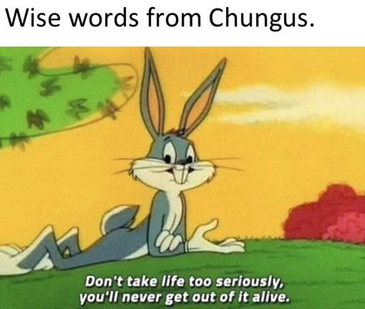 Wise words from Chungus meme