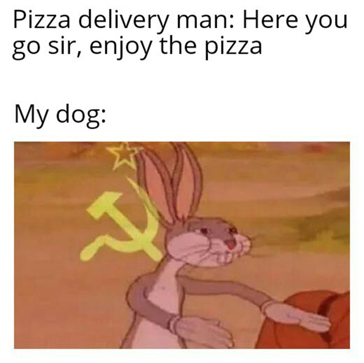 Enjoy your pizza, our pizza dog