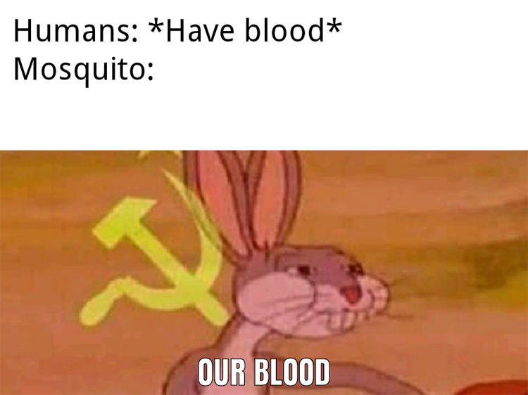 Have blood? Mosquito: our blood bugs meme