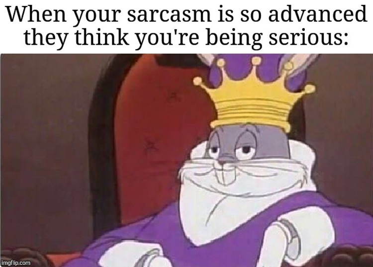 Your sarcasm is so advanced meme