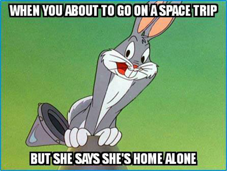 Go on a space trip but shes home alone meme