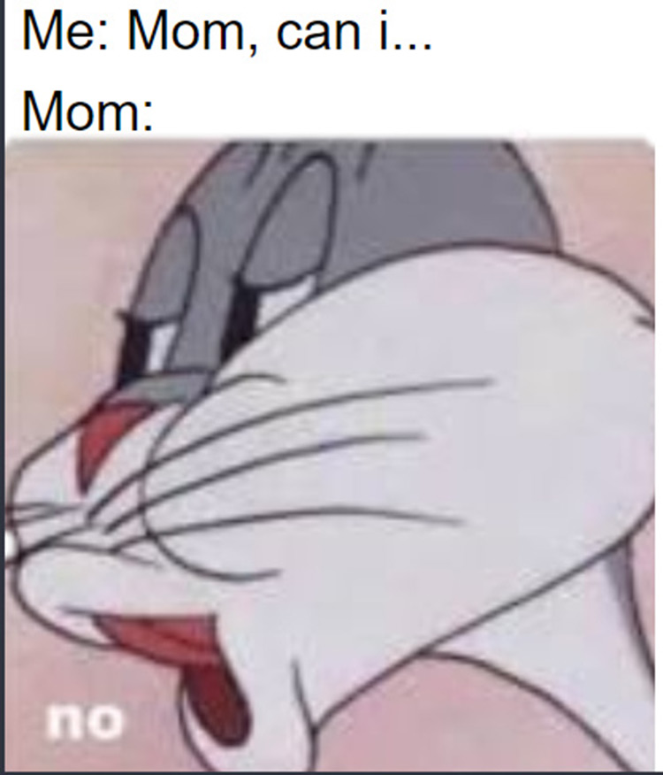 Mom, can I? -- No. Bugs meme