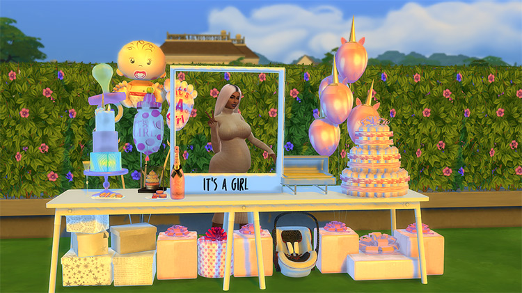 sims 4 party planner socials