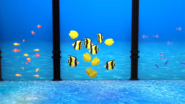 Under The Sea IV: Marine Fishies Sims 4 CC