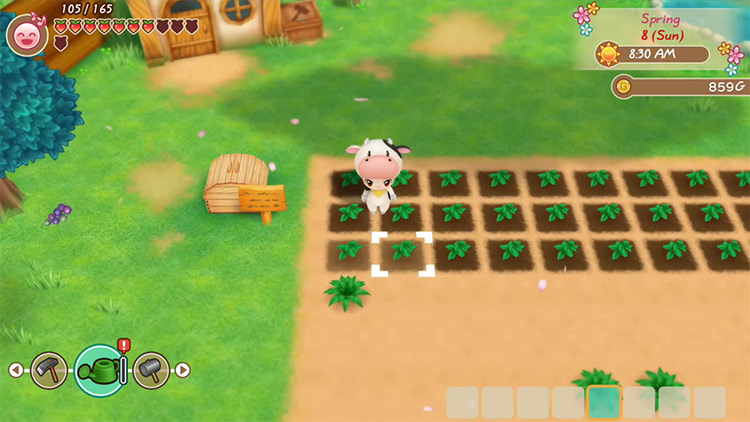 Story of Seasons: Friends of Mineral Town gameplay screenshot