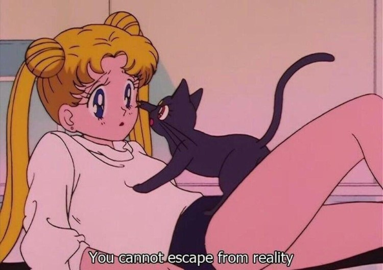 Luna cat Sailor Moon meme