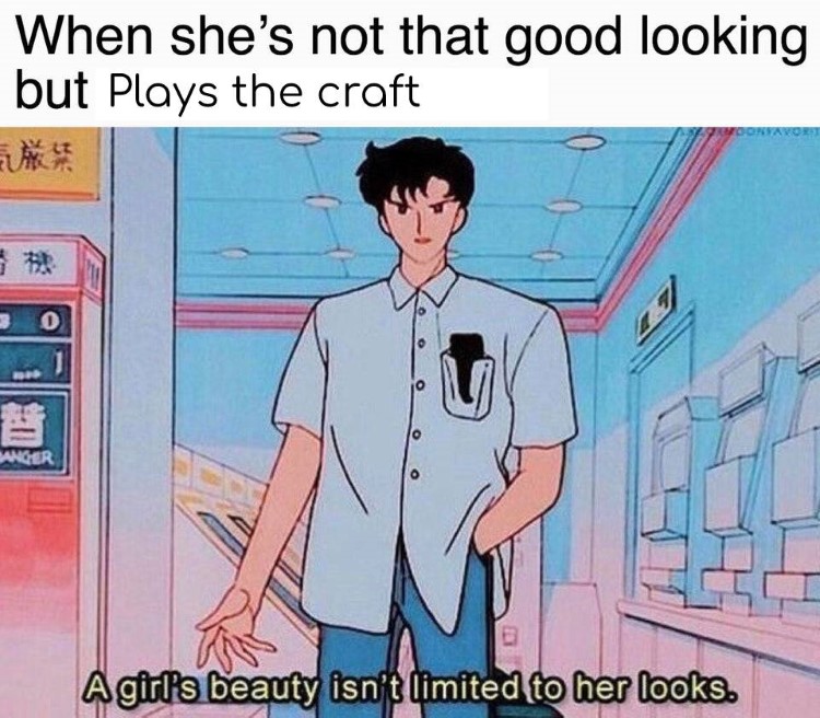 A girls beauty isnt limited to looks meme