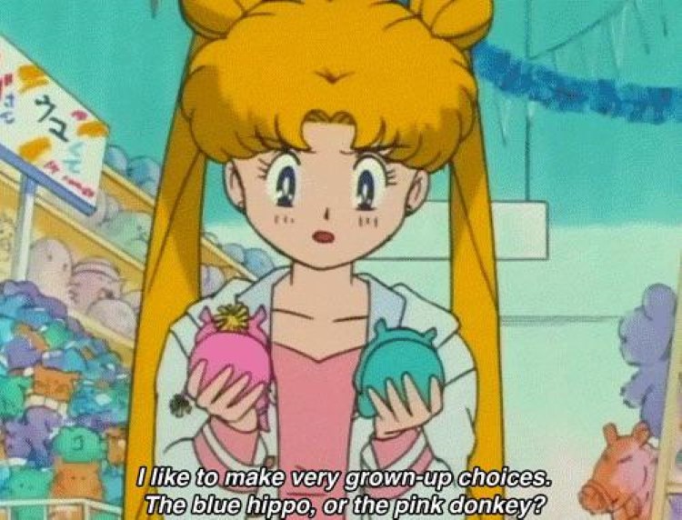 Sailor Moon pink or blue meme